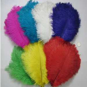 Artificial Bulk Ostrich Feathers Cheap Ostrich Feathers 15cm to 75cm Fancy Colorful Wholesale Ostric